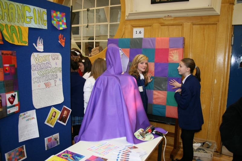 Sci Fayre 2011 10