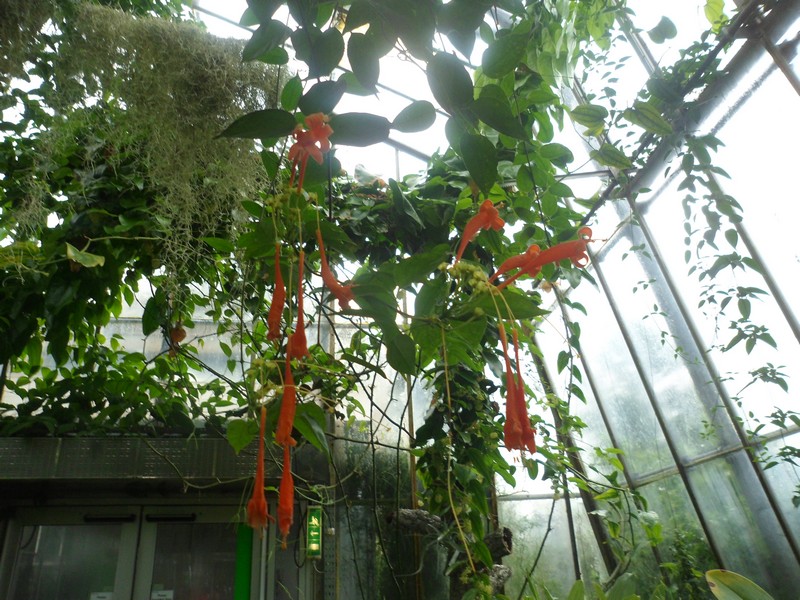 Botanic Visit 10