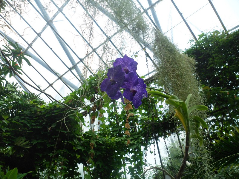 Botanic Visit 12