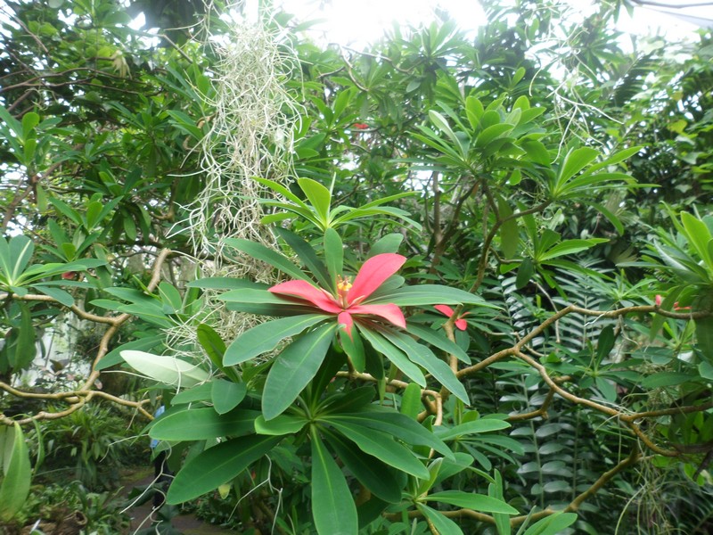 Botanic Visit 13