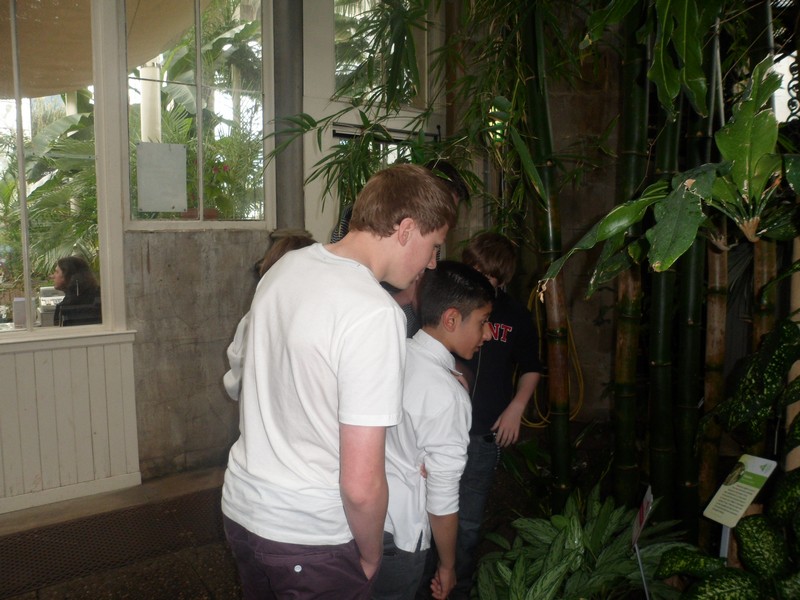Botanic Visit 17
