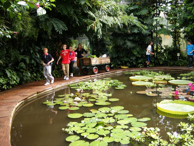 Botanic Visit 19