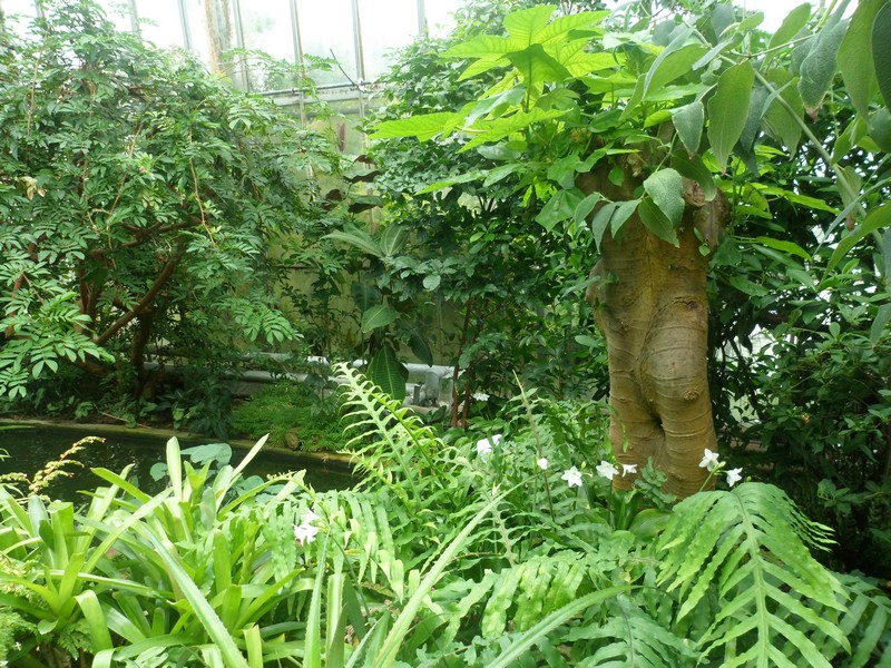Botanic Visit 2