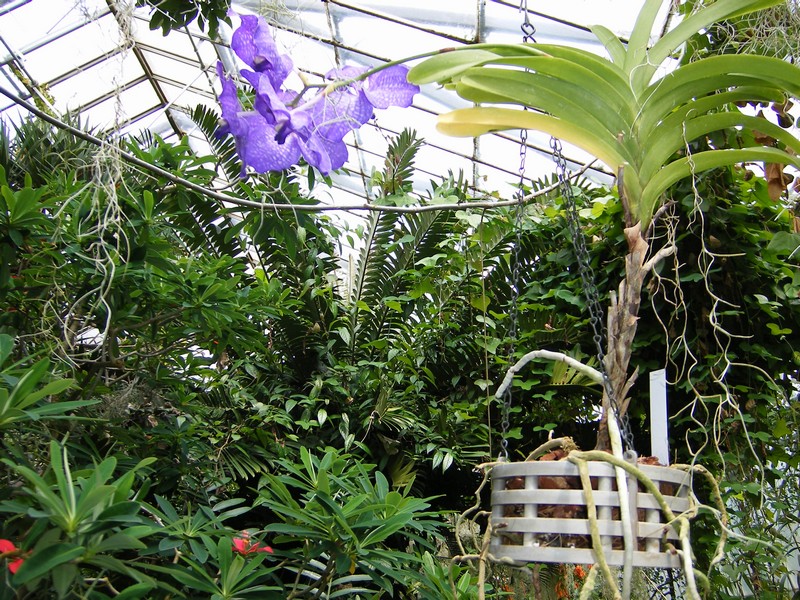 Botanic Visit 26