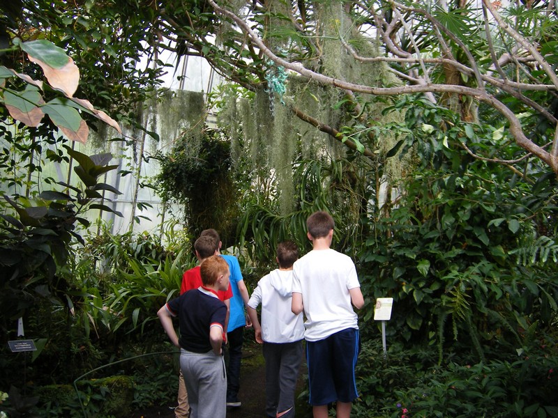 Botanic Visit 28