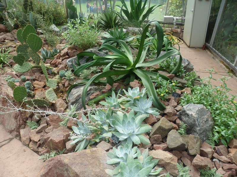 Botanic Visit 3