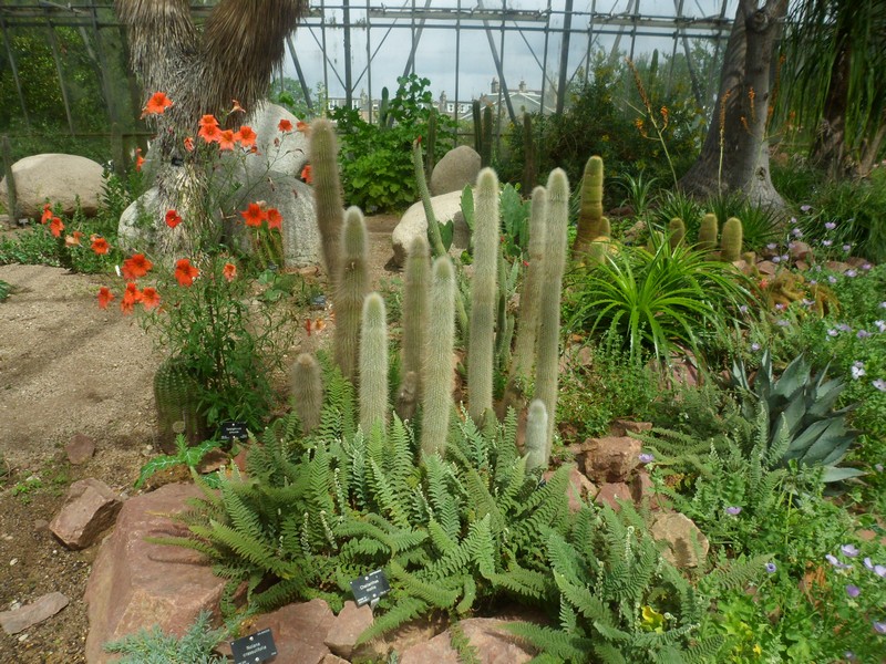 Botanic Visit 36