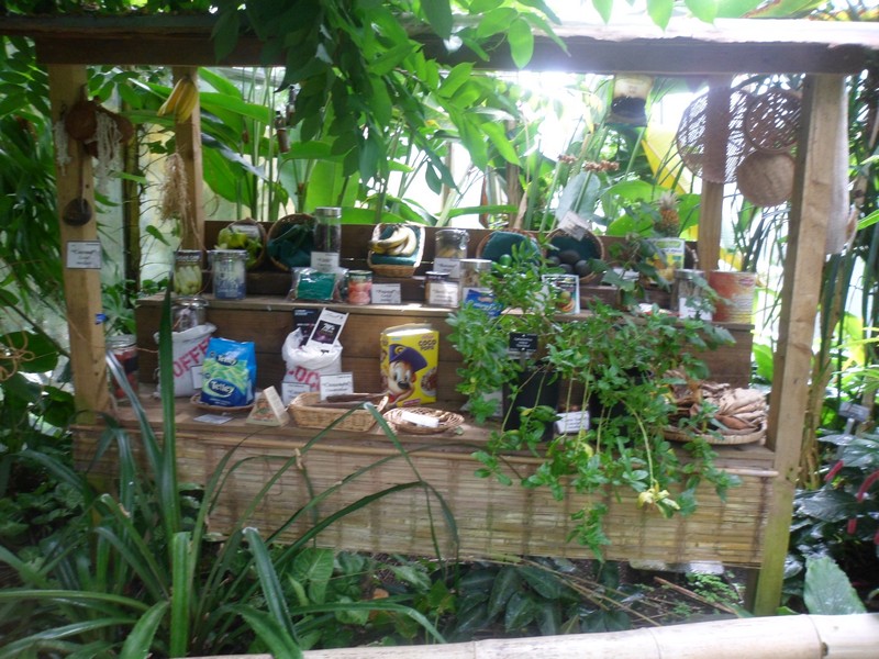 Botanic Visit 38