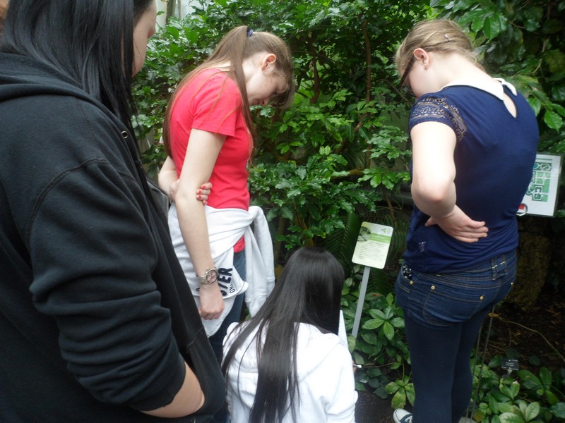 Botanic Visit 4