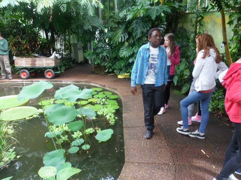 Botanic Visit 8
