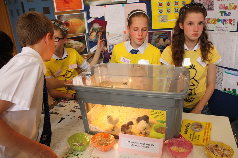 Sci Fayre 2012 104