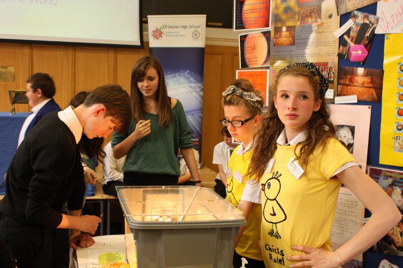 Sci Fayre 2012 107