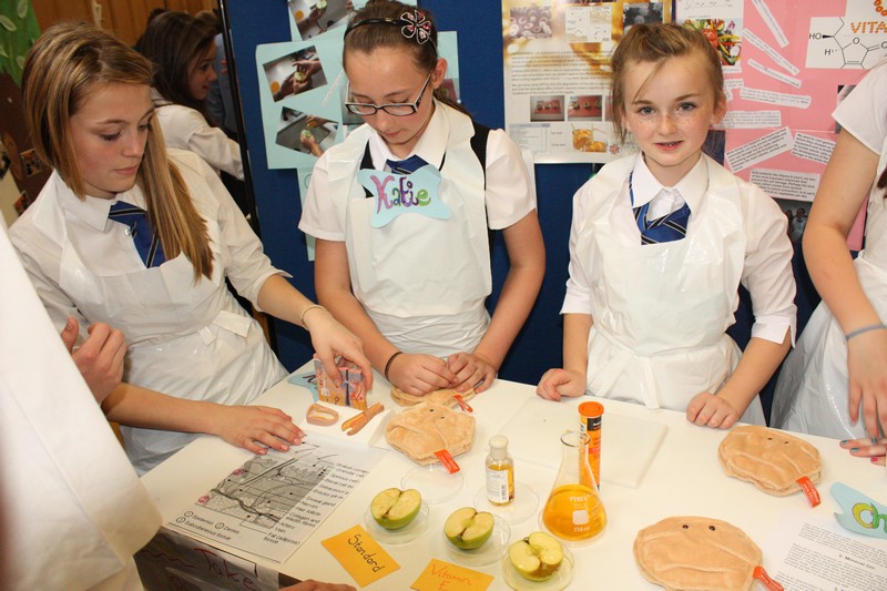 Sci Fayre 2012 3