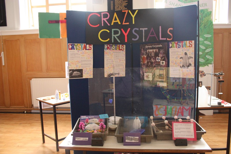 Sci Fayre 2012 46
