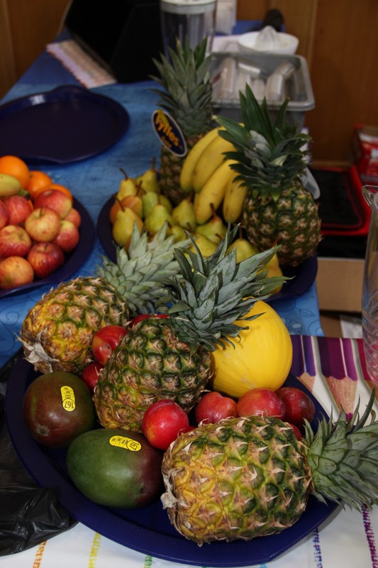 healthfayre2013-