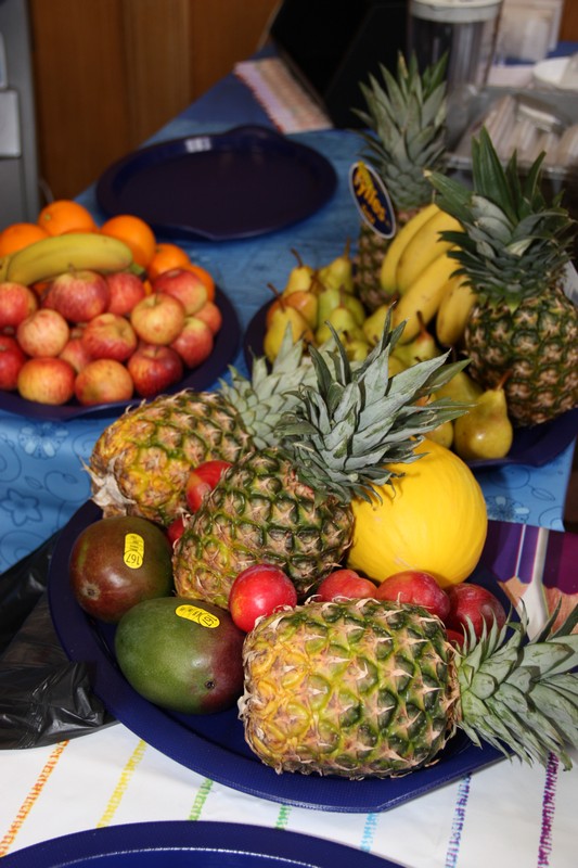 healthfayre2013-
