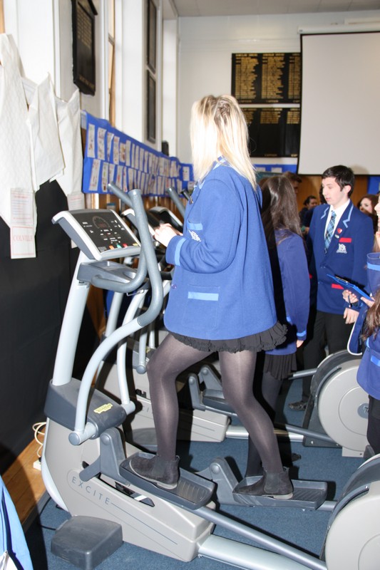 healthfayre2013-