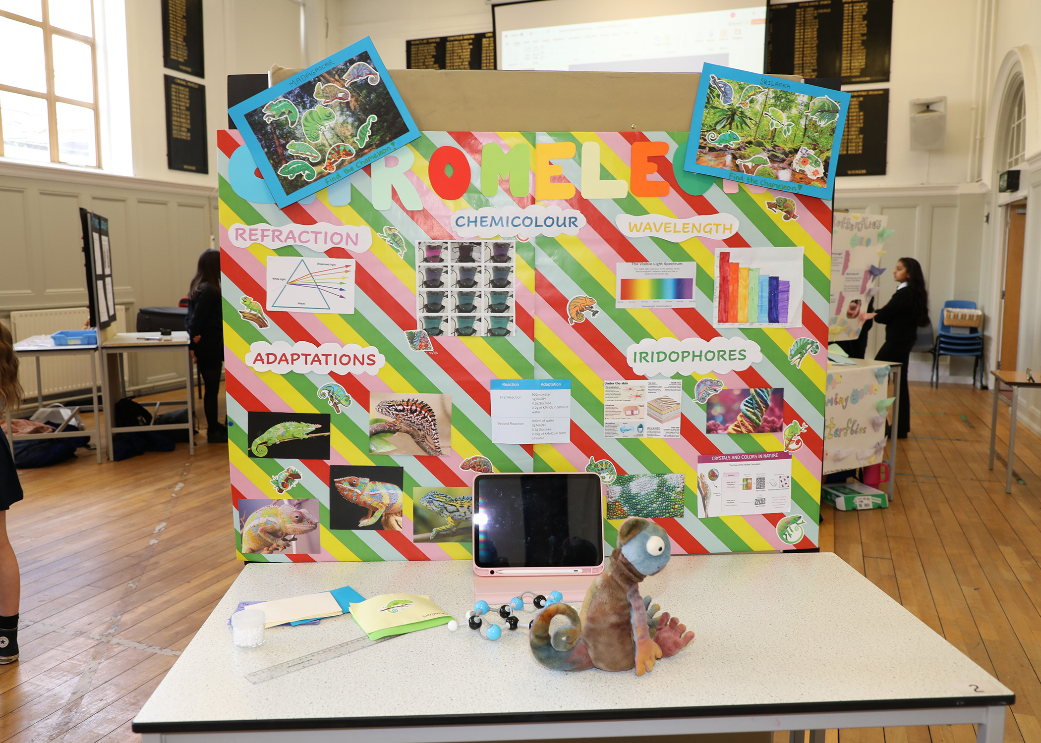 Sci Fayre 2025 39