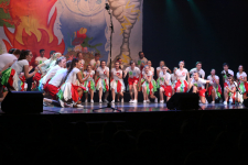 ChoralShield 093