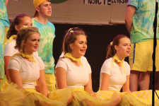 ChoralShield 137