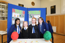 SciFayre 2019 009