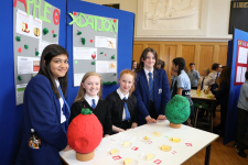 SciFayre 2019 024