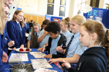 SciFayre 2019 035