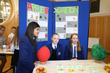 SciFayre 2019 049