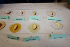 SciFayre 2019 053