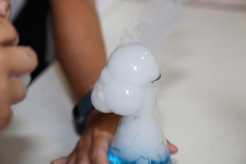 ScienceFayre 065