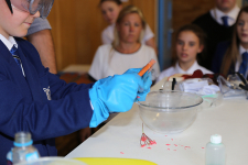 ScienceFayre 077