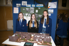 sciencefayre 2015-64